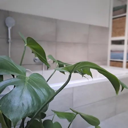 Διαμέρισμα Rheinhessen-loft *