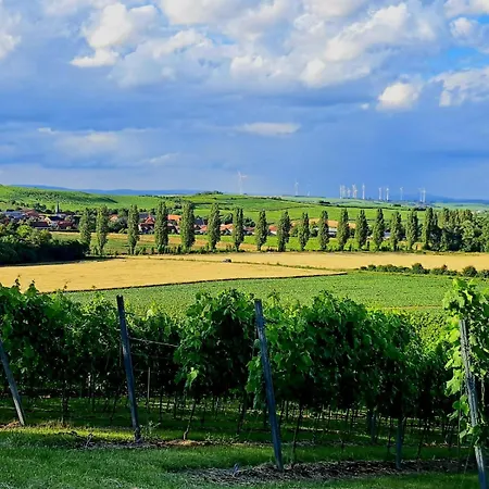 Rheinhessen-loft