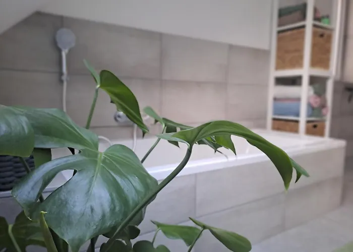 דירה Rheinhessen-loft *