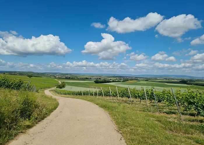 דירה Rheinhessen-loft