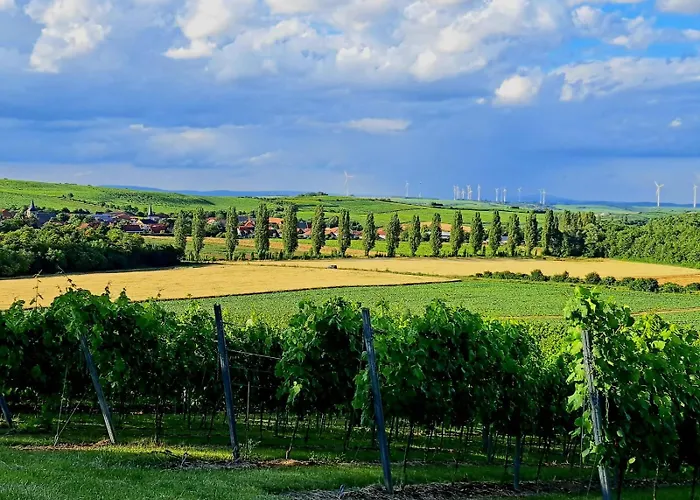 Rheinhessen-loft
